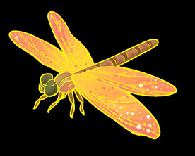 蜻蜓中国风噪点插画