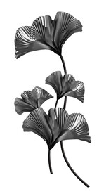 高清分层银杏叶打印图