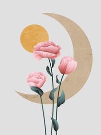 装饰画 玫瑰花 月亮