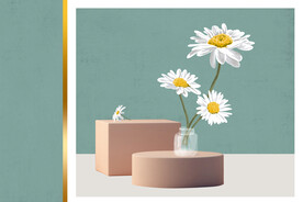 装饰画 白色菊花 花瓶