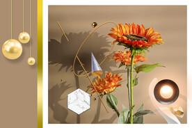 装饰画 菊花 光影画