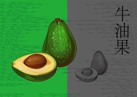 手绘牛油果