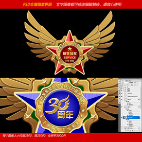 飞翔元素五角星金属徽章