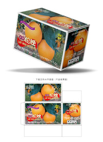 伦晚脐橙包装