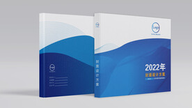 项目方案简洁封面设计 蓝色风格