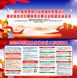 2022常态化扫黑除恶十件实事