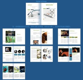 时尚公司简介企业宣传画册