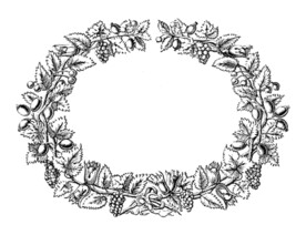 边框 花边 花纹