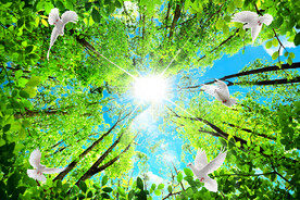 蓝天白云软膜天花