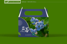 蓝莓包装 平面图