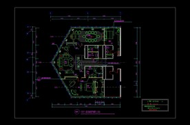 一个总统套房平面