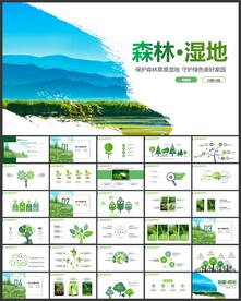 森林湿地环境保护生态系统PPT