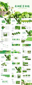 大棚蔬菜种植基地有机蔬菜ppt
