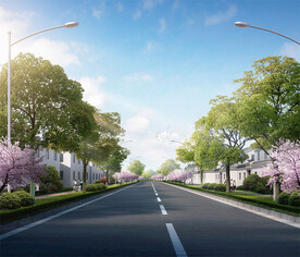市政道路绿化效果图
