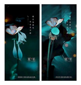  夏至海报