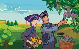 原创插画百色芒果 矢量图