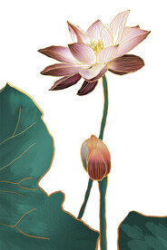 轻奢装饰画 荷花荷叶