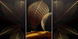 轻奢装饰画 叶子