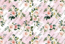 大牌 女装 印花