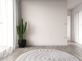 简约客厅背景墙空场景