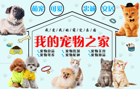 宠物店背景墙