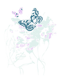 数码蝴蝶花纹裁片