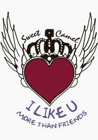 数码爱心翅膀裁片