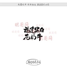 福建黑白花奶牛