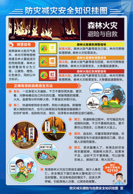 防灾减灾森林火灾挂图