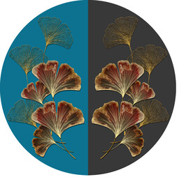 轻奢装饰画 圆形杏叶