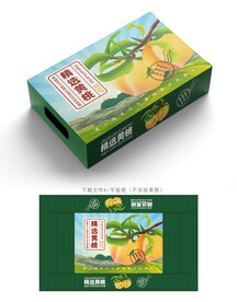 黄桃包装 