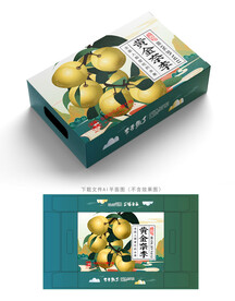 黄金奈李包装 