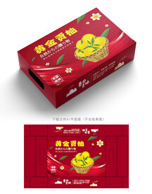 黄金贡柚包装 