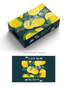 黄金贡柚包装 