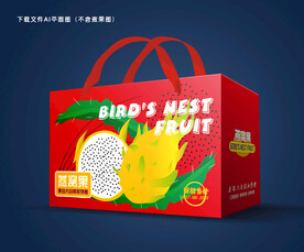 燕窝果包装 