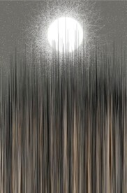 抽象光影线条玄关装饰画