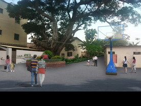 乡村振兴美丽乡村改造绿化效果图