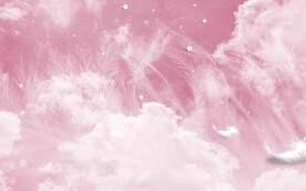 粉色羽毛网红背景墙