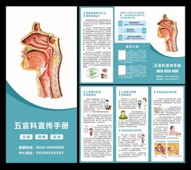 五官科宣传折页
