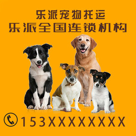 宠物店托运主图