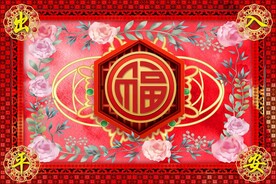 福字地垫喜庆红色进门地毯