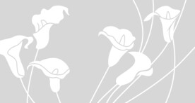 高清腰线打印图