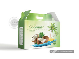 椰子包装 平面图