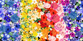 五彩缤纷印花花朵