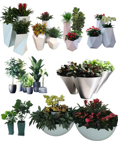 组合盆景 草花组合 异形花盆