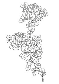 黑白菊花花卉设计