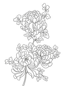 黑白菊花花卉设计