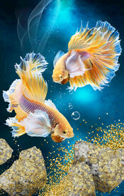 轻奢装饰画 弧线 山水画金鱼