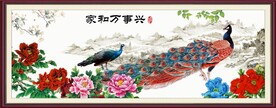 孔雀牡丹图