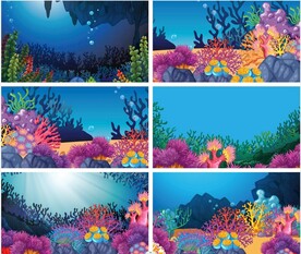 五彩斑斓的海底世界